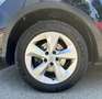 Nissan Qashqai Nissan Qashqai 1.5 dCi Acenta 'unico proprietario' Zwart - thumbnail 3