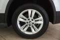 Skoda Kodiaq Kodiaq 2.0 TDI EVO SCR 4x4 DSG 7 posti Executive Gris - thumbnail 22