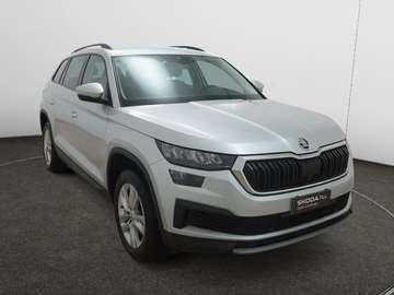 Kodiaq 2.0 TDI EVO SCR 4x4 DSG 7 posti Executive