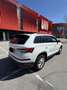 Skoda Kodiaq 2,0 TDI Ambition SC DSG - thumbnail 6