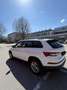 Skoda Kodiaq 2,0 TDI Ambition SC DSG - thumbnail 4