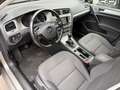Volkswagen Golf Variant Rabbit TSI Grau - thumbnail 8