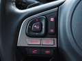 Subaru Forester 2.0 Premium - Trekhaak - Dealer onderhouden - Trek Gris - thumbnail 28