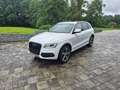 Audi Q5 Q5 Diesel 2.0 TDI quattro (clean diesel) Weiß - thumbnail 1