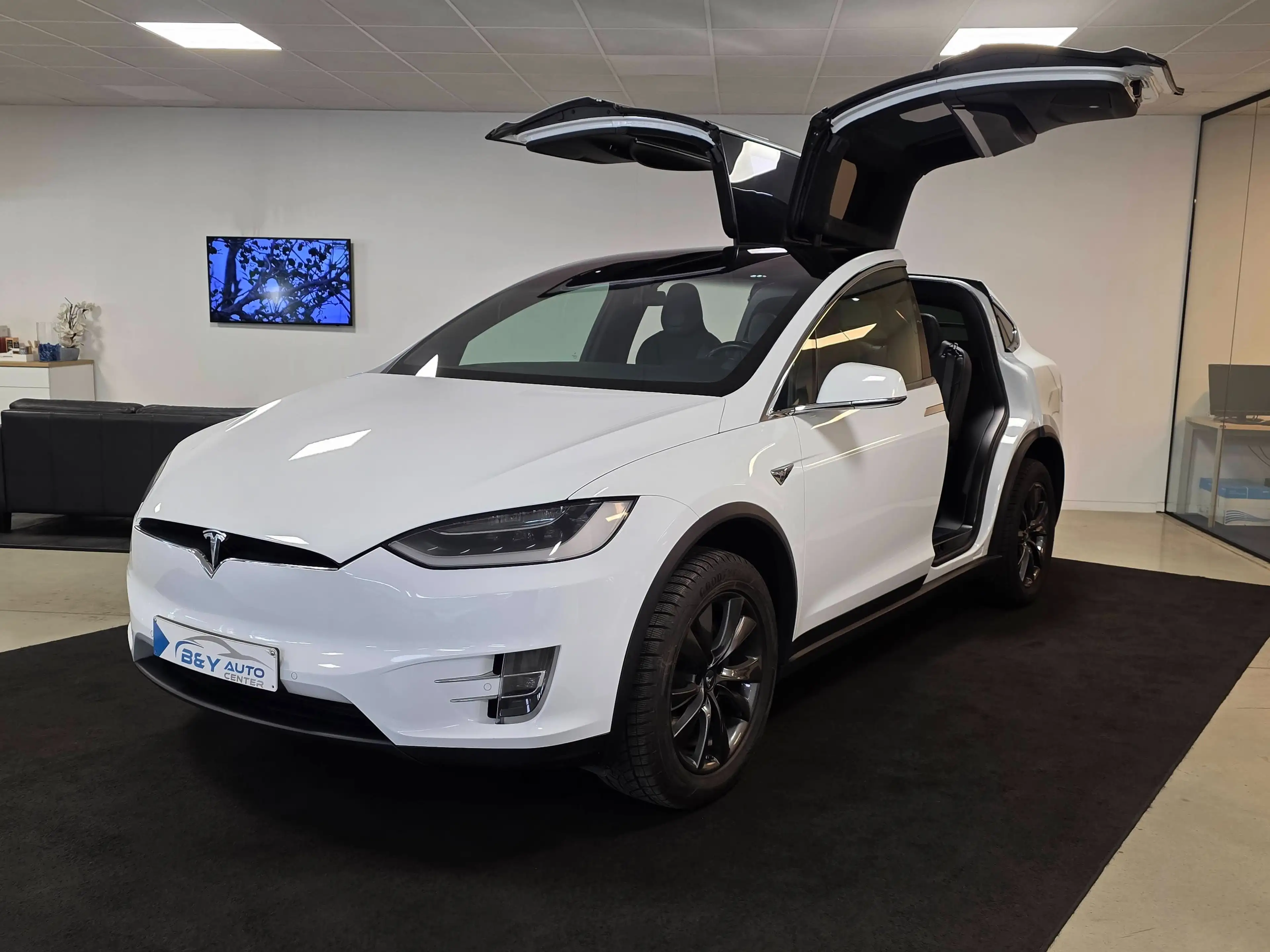 Tesla Model X 90D Dual Motor Premium Connectivity — photo 3