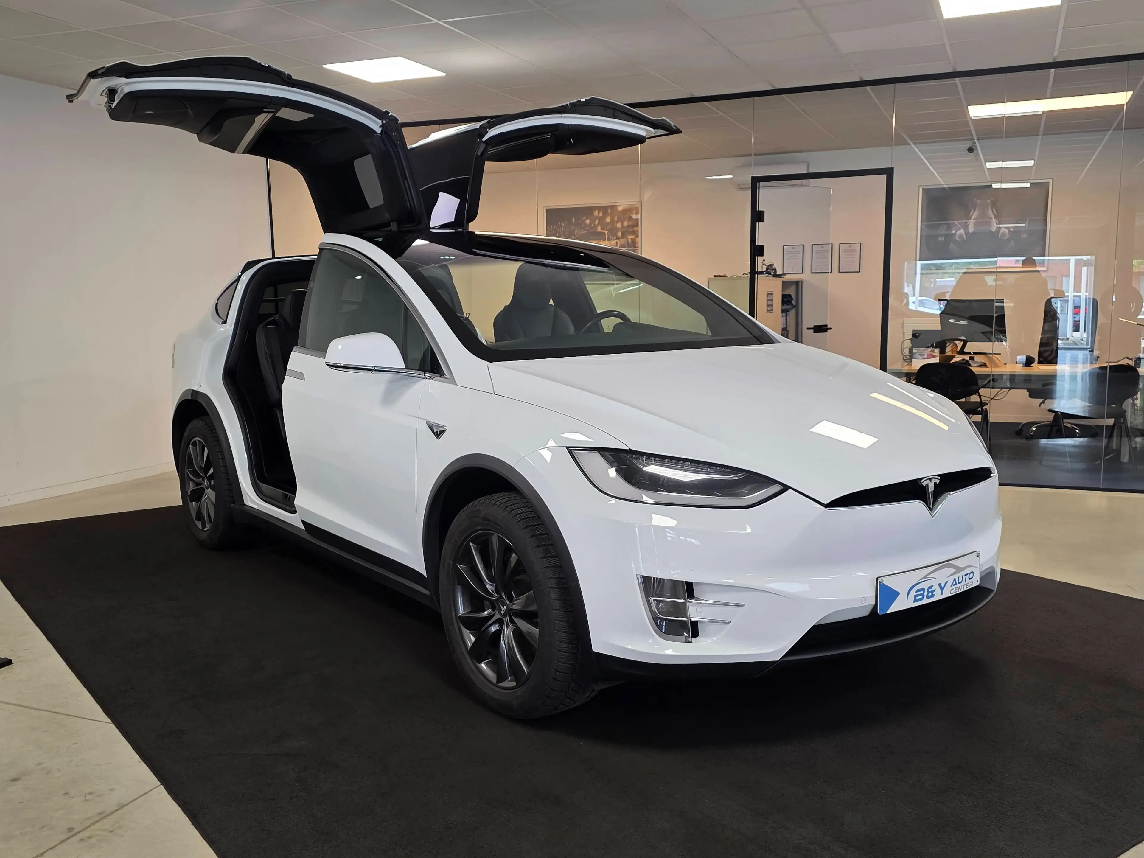 Tesla Model X 90D Dual Motor Premium Connectivity — photo 10