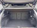 BMW X2 sDrive20d Schwarz - thumbnail 19
