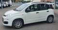 Fiat Panda Panda 1.2 Easypower Easy Gpl 69cv E6-PREZZO PROMO Bianco - thumbnail 3