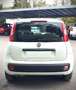 Fiat Panda Panda 1.2 Easypower Easy Gpl 69cv E6-PREZZO PROMO Bianco - thumbnail 4