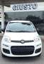 Fiat Panda Panda 1.2 Easypower Easy Gpl 69cv E6-PREZZO PROMO Bianco - thumbnail 1