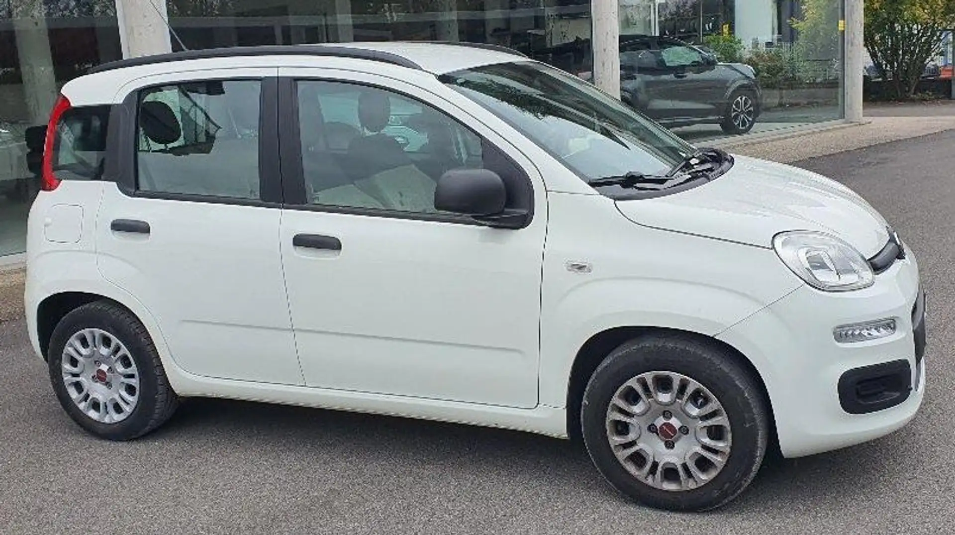 Fiat Panda Panda 1.2 Easypower Easy Gpl 69cv E6-PREZZO PROMO Bianco - 2