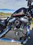 Harley-Davidson Sportster Forty Eight Penzl und viele Originalteile Siyah - thumbnail 12