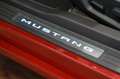 Ford Mustang 3.7 V6 Convertible|BI-XENON|AUTOMATIK|LEDER Rot - thumbnail 14