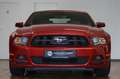 Ford Mustang 3.7 V6 Convertible|BI-XENON|AUTOMATIK|LEDER Rot - thumbnail 4
