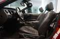 Ford Mustang 3.7 V6 Convertible|BI-XENON|AUTOMATIK|LEDER Rot - thumbnail 6