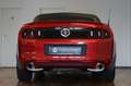 Ford Mustang 3.7 V6 Convertible|BI-XENON|AUTOMATIK|LEDER Rot - thumbnail 17