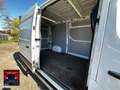 Nissan Interstar VAN 2.3 dCi 135PK L2H2 3T5 N-Connecta Wit - thumbnail 10