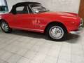 Alfa Romeo Giulia Spider Rosso - thumbnail 3