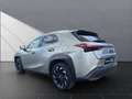 Lexus UX 250h 250h*STYLE*FACELIFT* ALLW.*CARPLAY*GARANTIE Silber - thumbnail 3