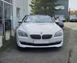 BMW 645 Weiß - thumbnail 2