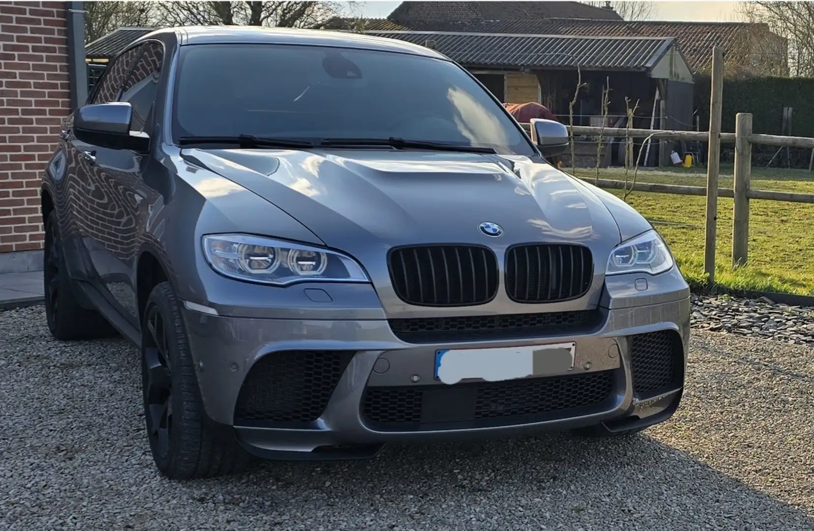 BMW X6 3.0 dA xDrive40 - 1