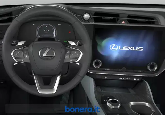 Lexus RZ view 5