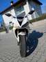 Triumph Daytona 675 Sport Blanco - thumbnail 4