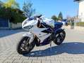 Triumph Daytona 675 Sport Blanco - thumbnail 3