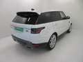 Land Rover Range Rover Sport II - Range Rover Sport 3.0d i6 mhev HSE 24 Blanc - thumbnail 6
