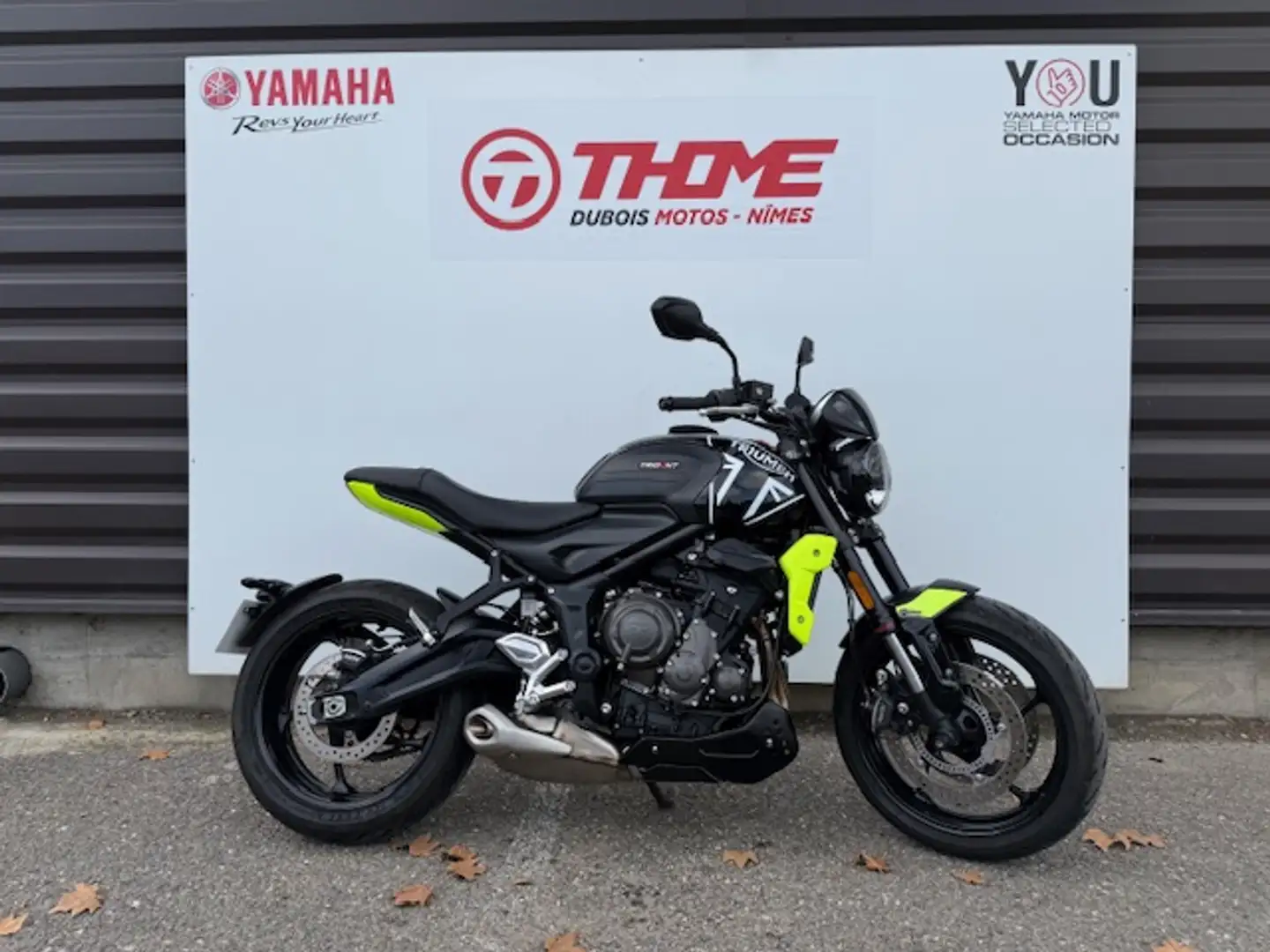 Triumph Trident 660 Grijs - 1