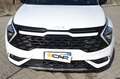 Kia Sportage Sportage 1.6 tgdi hev GT-line auto Weiß - thumbnail 20