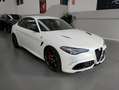 Alfa Romeo Giulia Giulia 2.9 V6 Bi-Turbo AT8 Quadrifoglio Weiß - thumbnail 1