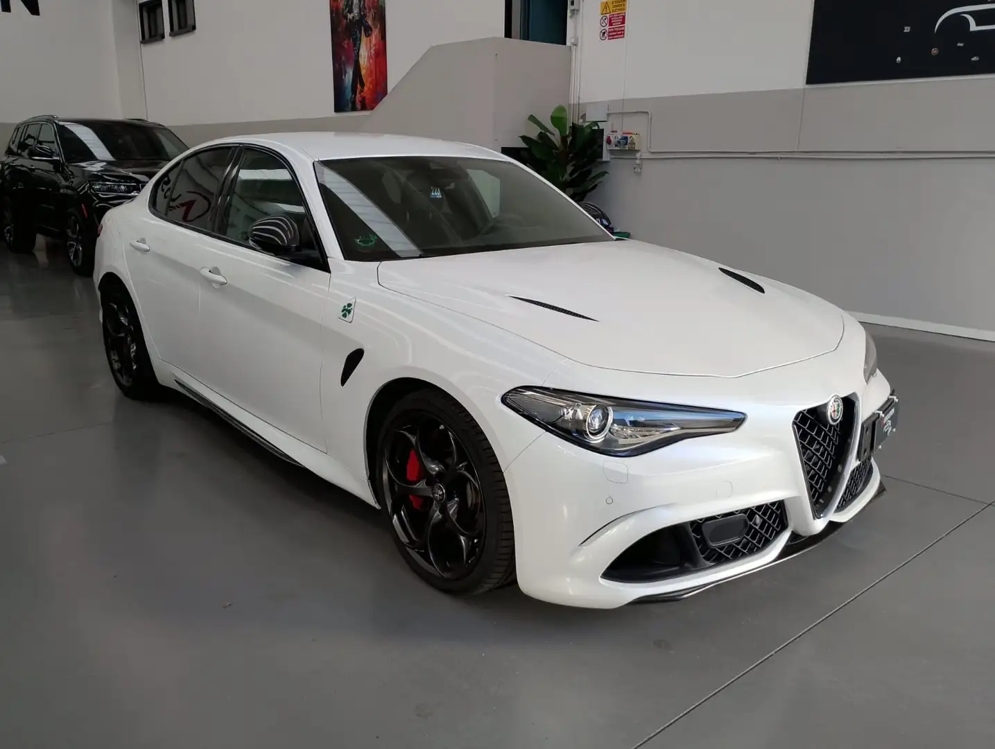 Alfa Romeo Giulia Giulia 2.9 V6 Bi-Turbo AT8 Quadrifoglio Weiß - 1