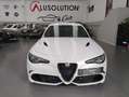 Alfa Romeo Giulia Giulia 2.9 V6 Bi-Turbo AT8 Quadrifoglio Weiß - thumbnail 2
