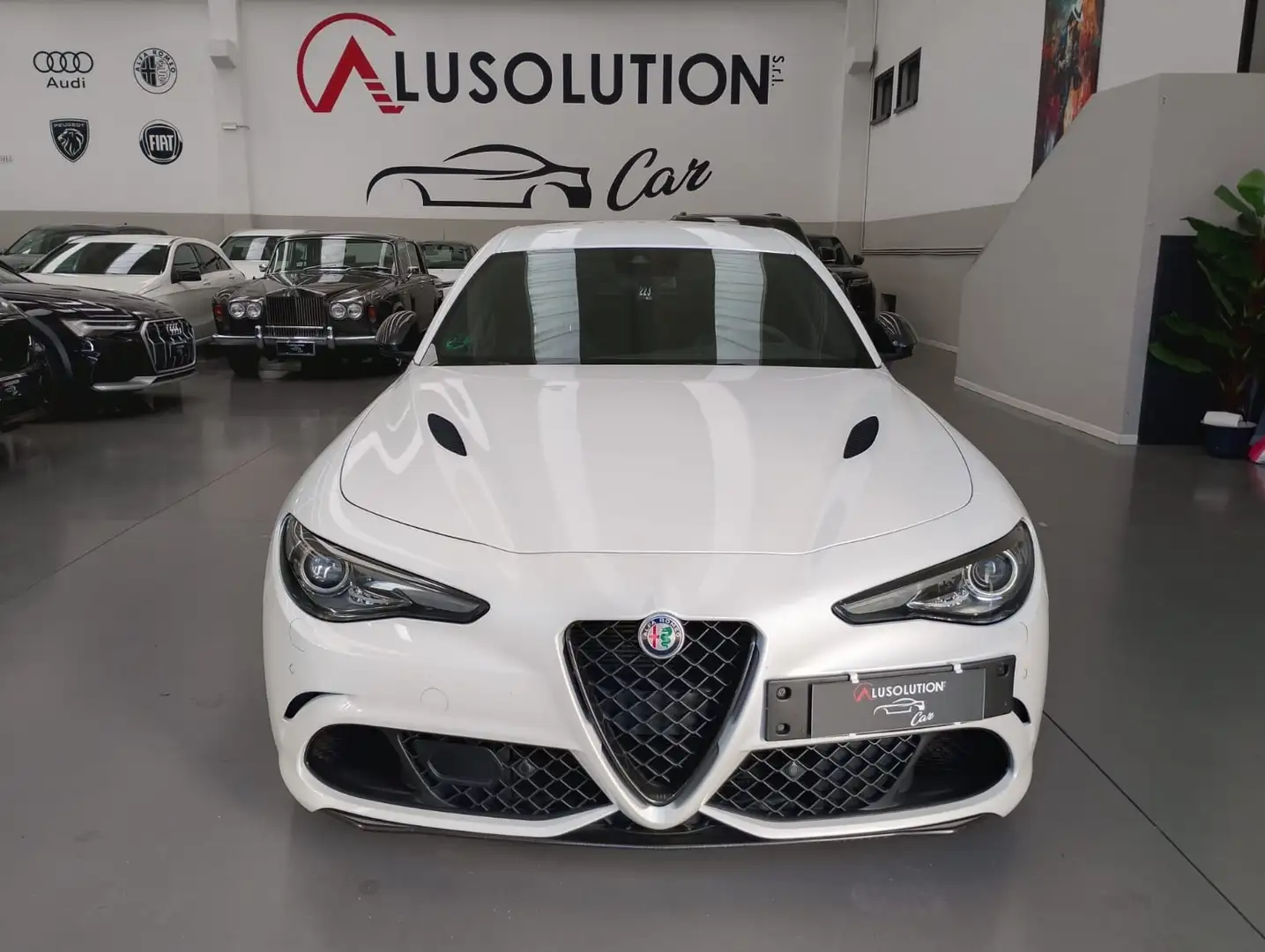 Alfa Romeo Giulia Giulia 2.9 V6 Bi-Turbo AT8 Quadrifoglio Weiß - 2