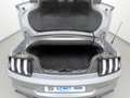 Ford Mustang 5.0 V8 Aut. GT Convertible MagneRide+ACC Silber - thumbnail 12
