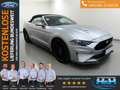 Ford Mustang 5.0 V8 Aut. GT Convertible MagneRide+ACC Silber - thumbnail 1