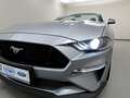 Ford Mustang 5.0 V8 Aut. GT Convertible MagneRide+ACC Silber - thumbnail 28