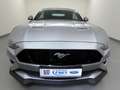 Ford Mustang 5.0 V8 Aut. GT Convertible MagneRide+ACC Silber - thumbnail 10