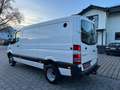 Mercedes-Benz Sprinter V6°519CDI°4X4/Klima/BiXen/PDC+Cam/Regal Weiß - thumbnail 8