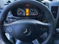 Mercedes-Benz Sprinter V6°519CDI°4X4/Klima/BiXen/PDC+Cam/Regal Weiß - thumbnail 17