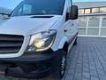 Mercedes-Benz Sprinter V6°519CDI°4X4/Klima/BiXen/PDC+Cam/Regal Weiß - thumbnail 13