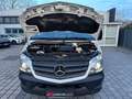 Mercedes-Benz Sprinter V6°519CDI°4X4/Klima/BiXen/PDC+Cam/Regal Weiß - thumbnail 43