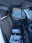 Mercedes-Benz Sprinter V6°519CDI°4X4/Klima/BiXen/PDC+Cam/Regal Weiß - thumbnail 25