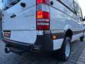 Mercedes-Benz Sprinter V6°519CDI°4X4/Klima/BiXen/PDC+Cam/Regal Weiß - thumbnail 42