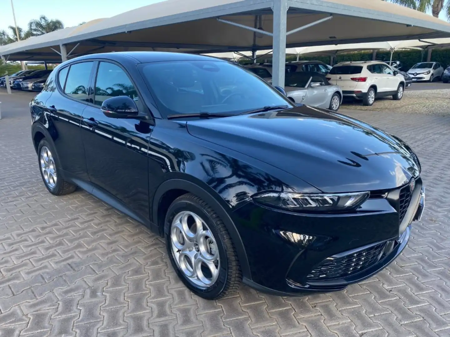 Alfa Romeo Tonale 1.6 diesel 130 CV TCT6 Sprint Negro - 2