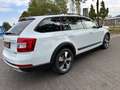 Skoda Octavia Combi Scout 4x4,SCHEKHEFT,NAVI,AHK Weiß - thumbnail 4