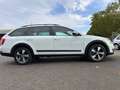 Skoda Octavia Combi Scout 4x4,SCHEKHEFT,NAVI,AHK Weiß - thumbnail 7