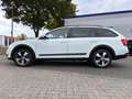 Skoda Octavia Combi Scout 4x4,SCHEKHEFT,NAVI,AHK Weiß - thumbnail 8