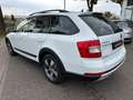 Skoda Octavia Combi Scout 4x4,SCHEKHEFT,NAVI,AHK Weiß - thumbnail 6